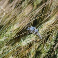 Brides of 2020!  Show us your ring!! - 1