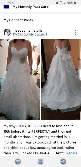 Let's Talk Wedding Dresses! 11