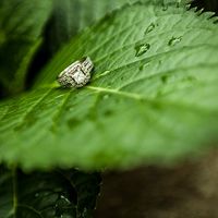 Wedding ring