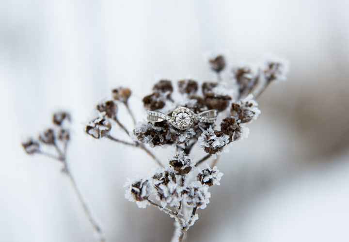 Brides of 2022 - Show Us Your Ring! - 1
