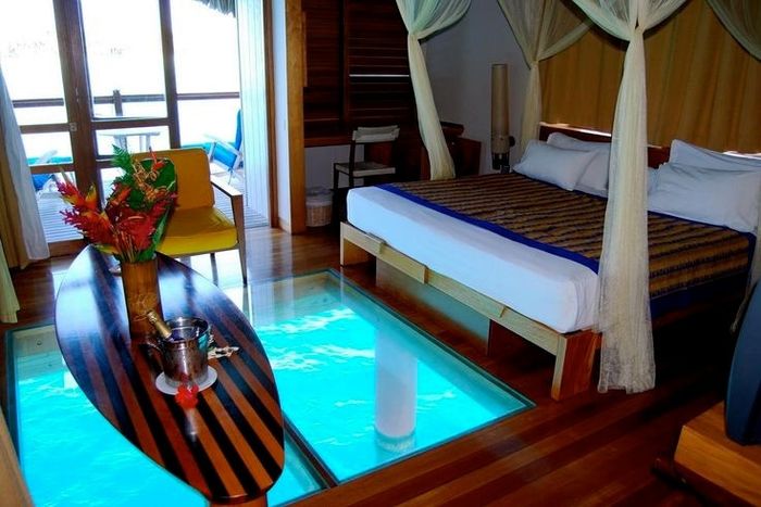 Our hut will have glass floors