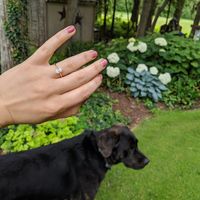 Brides of 2020!  Show us your ring!! - 2