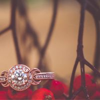 Show me your ______ ring! - 1