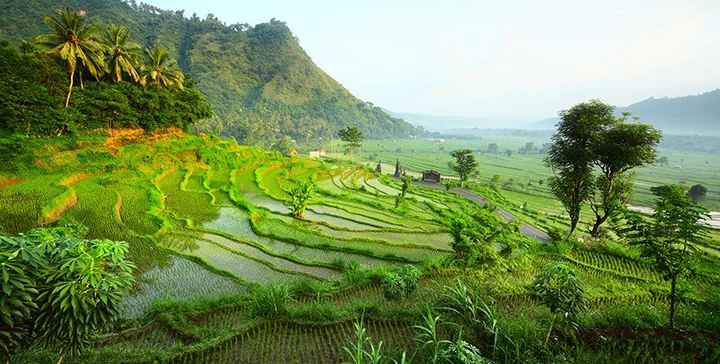 Ubud, Bali