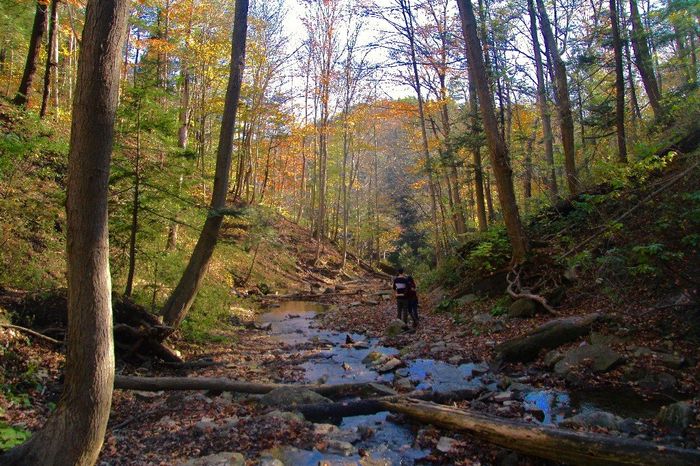 Unique Engagement photos? 7