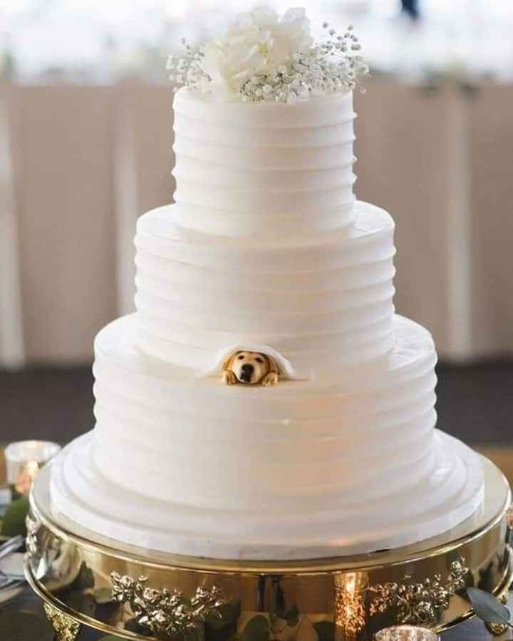 Incorporate your fury friend into the wedding! - 2