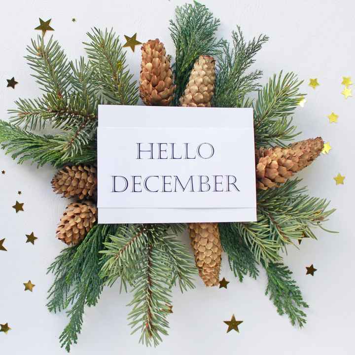 Holiday Family Gatherings - 1