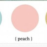 color palette 