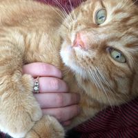 Brides of 2021! Show us your ring!! - 1