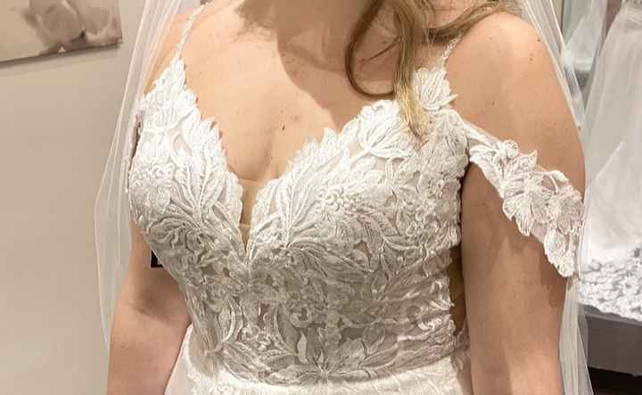 Did anyone change their dress neckline in alterations? Can it be done? - 1
