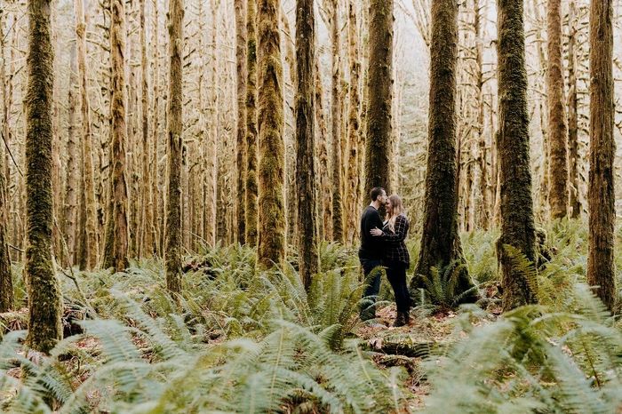What did you wear for your engagement pics? 7