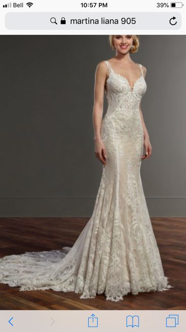 Picking bridesmaids dresses 1