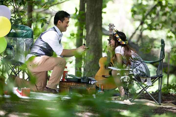 Surprise Picnic Proposal