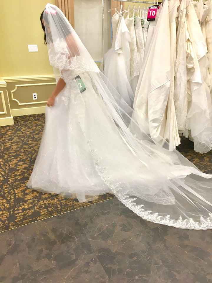 Affordable veils? - 1