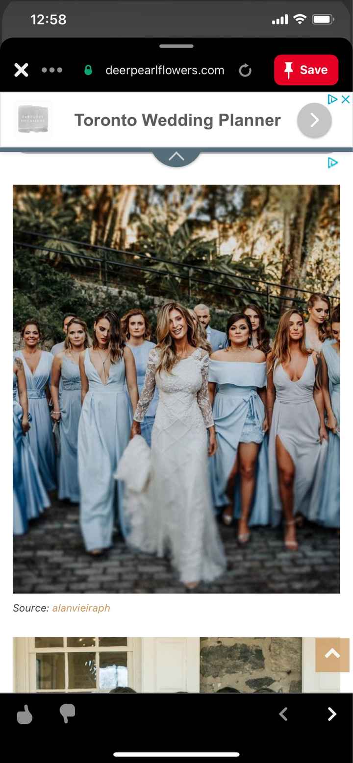 Different Bridesmaid dresses? - 1