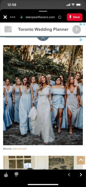 Different Bridesmaid dresses? 5