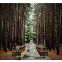 Wedding Venue Suggestions - 3