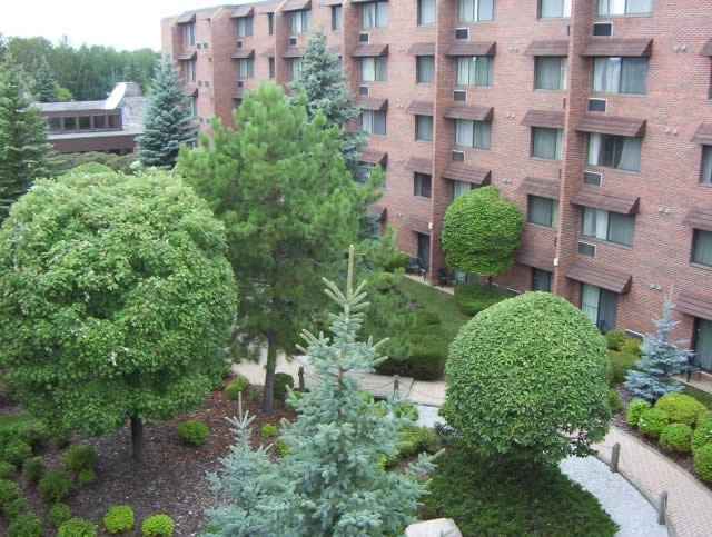Outdoor Courtyard