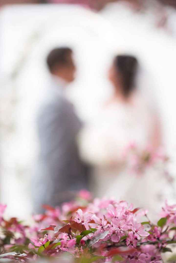 Pro sneak peek