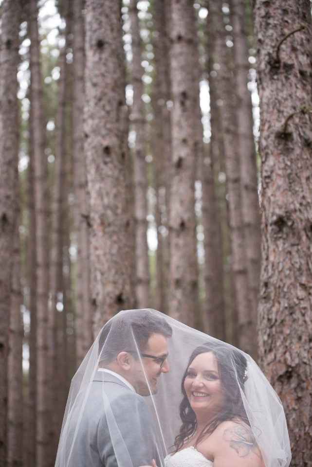 Pro sneak peek