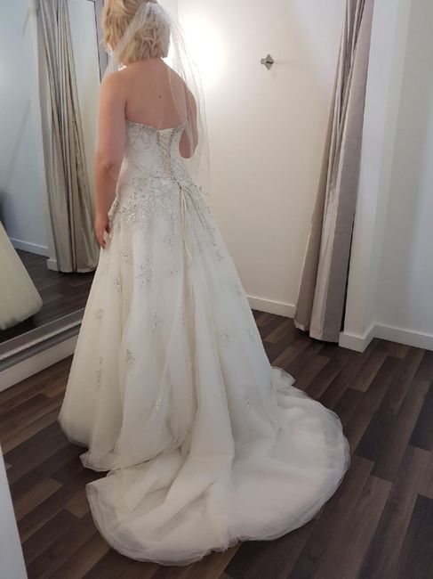Wedding dress shopping 6