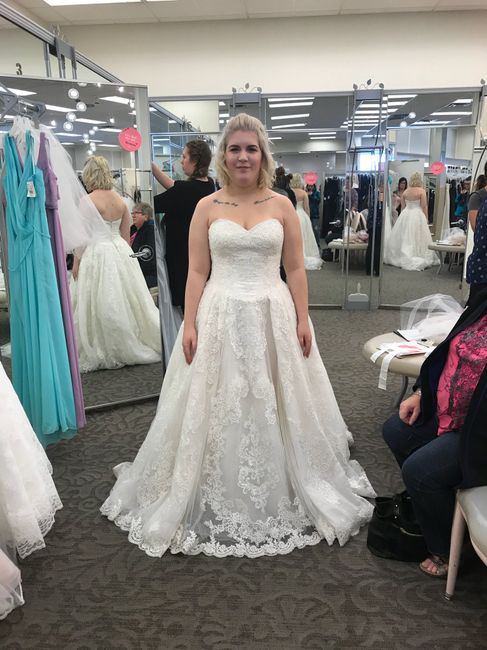 Wedding dress shopping 2