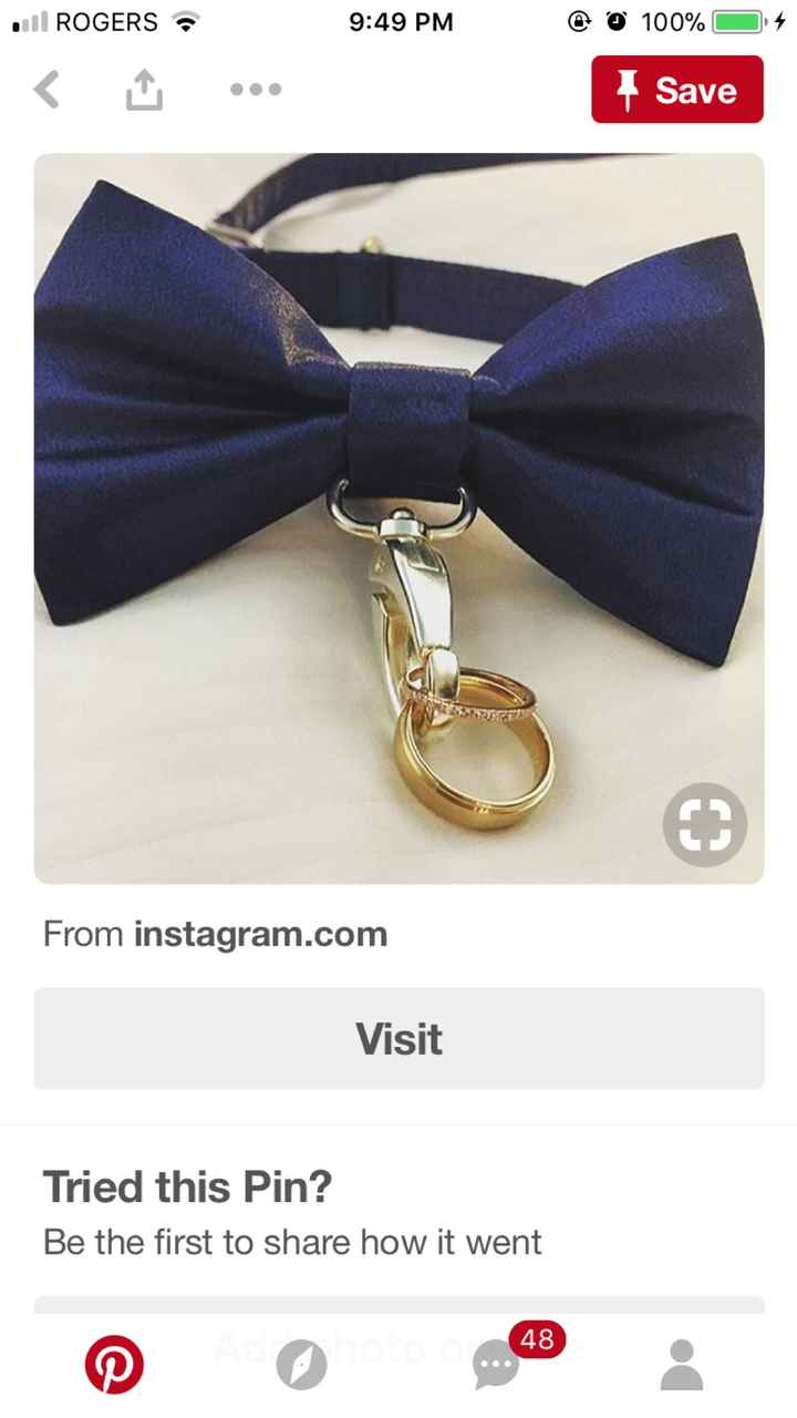  Tuxedo for my dog - 1