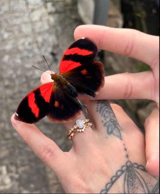 Brides of 2026 - Let's See Your Ring! 29