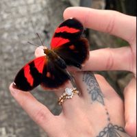 Brides of 2026 - Let's See Your Ring! - 1