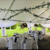 Wedding Tent Advice - 4