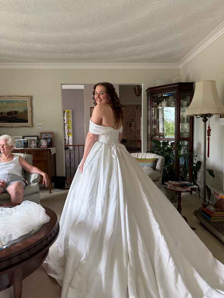 Need suggestions for bustle of my dress! - 1