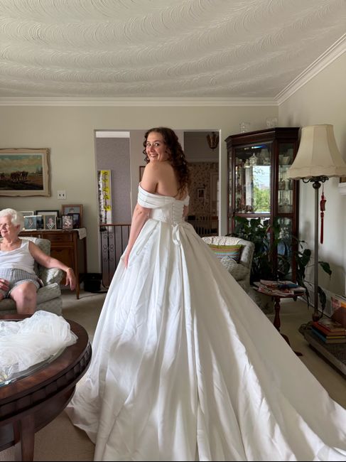 Need suggestions for bustle of my dress! 1