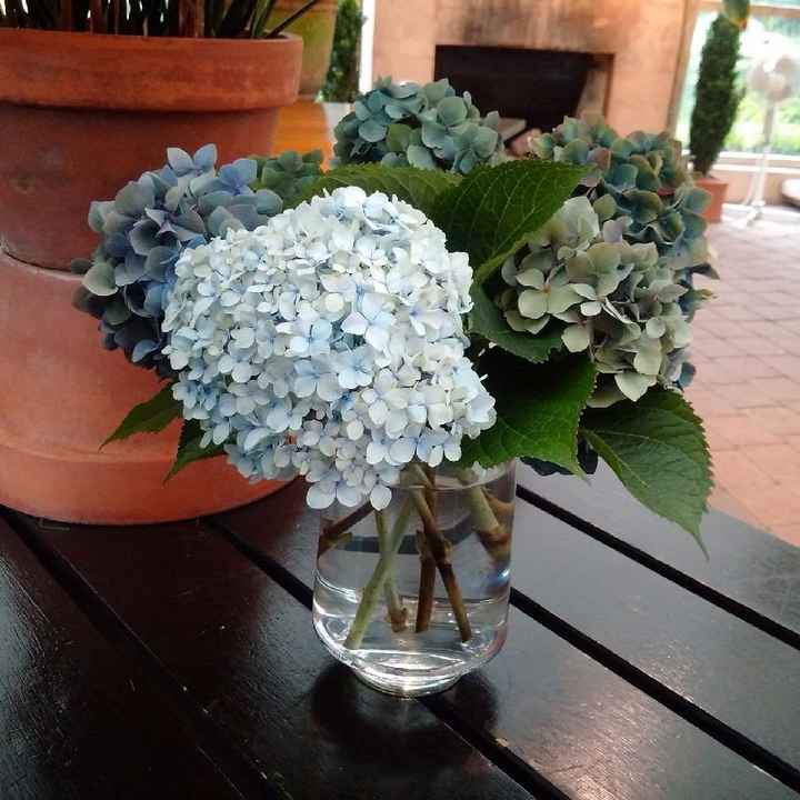 Blue Hydrangea 