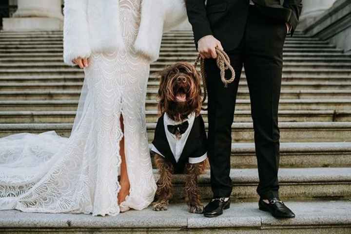 The Whole Family! 