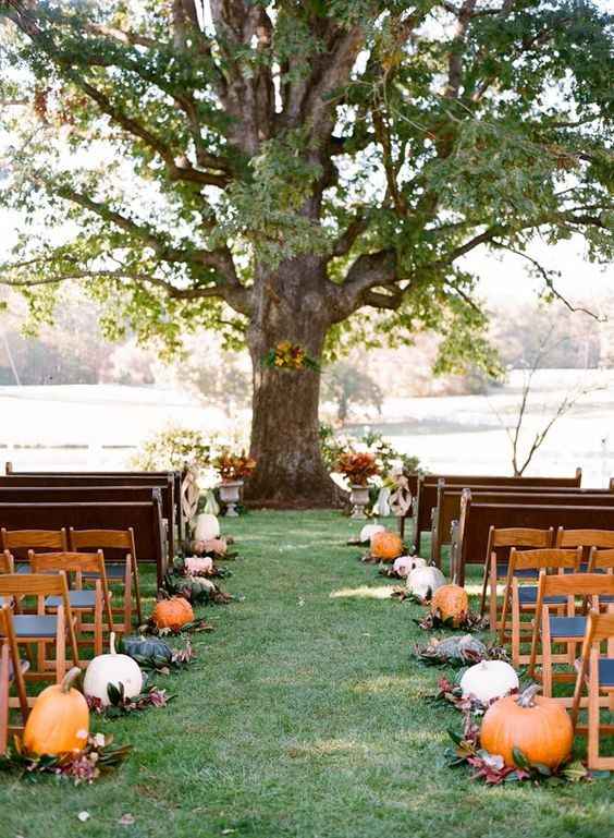 fall wedding ceremony decoration pumpkins gourds tree