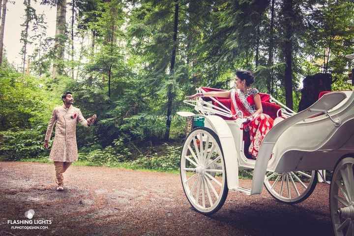 wedding transportation horse and carriage
