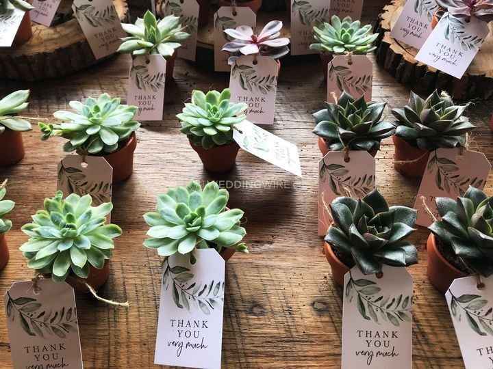 wedding favours succulents 