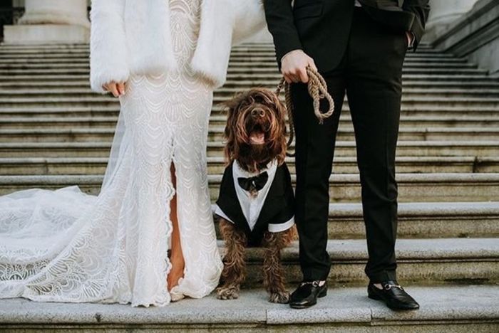 The Whole Family! 