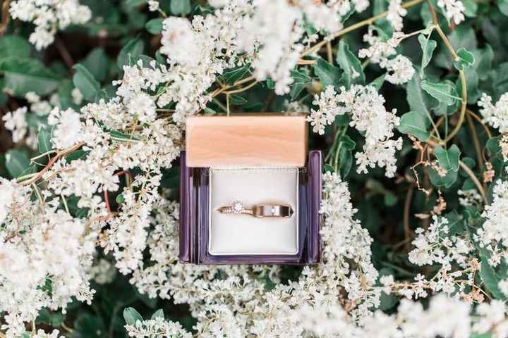 rings in a box