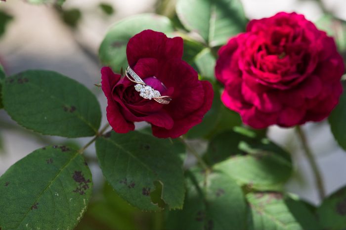 Brides of 2020!  Show us your ring!! 1