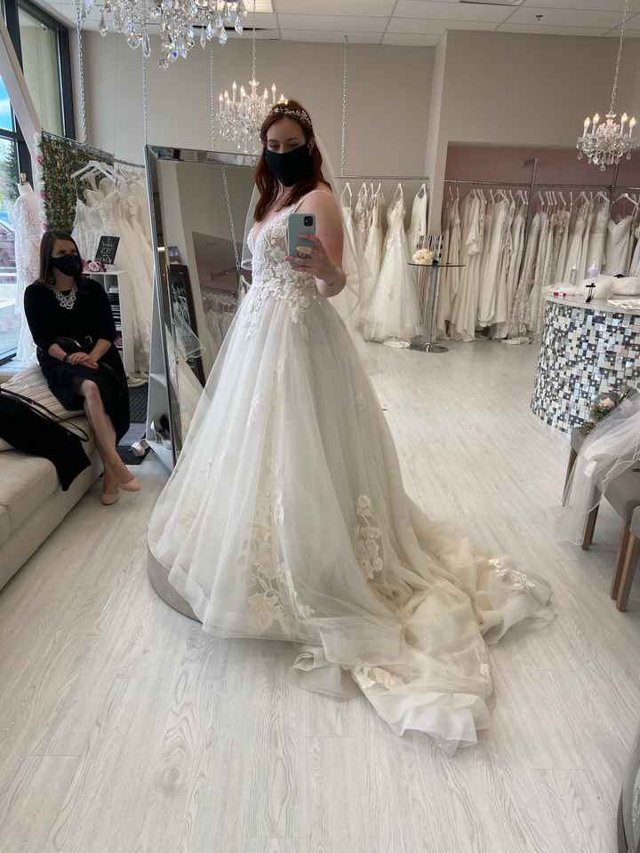 Advice for Ball Gown...? - 3