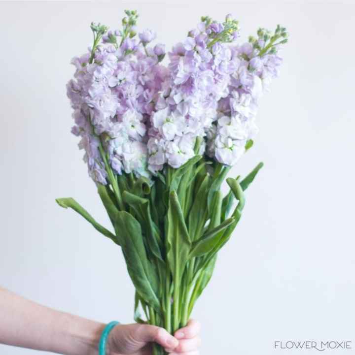 Flowers - 5