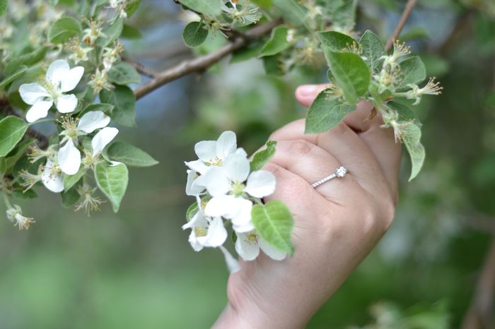 Engagement Rings 5