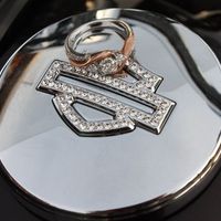 August 8, 2020!  I will be a Harley bride with my amazing Harley man!