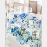 Elegant blue