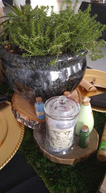 DIY Decor Slytherin tables