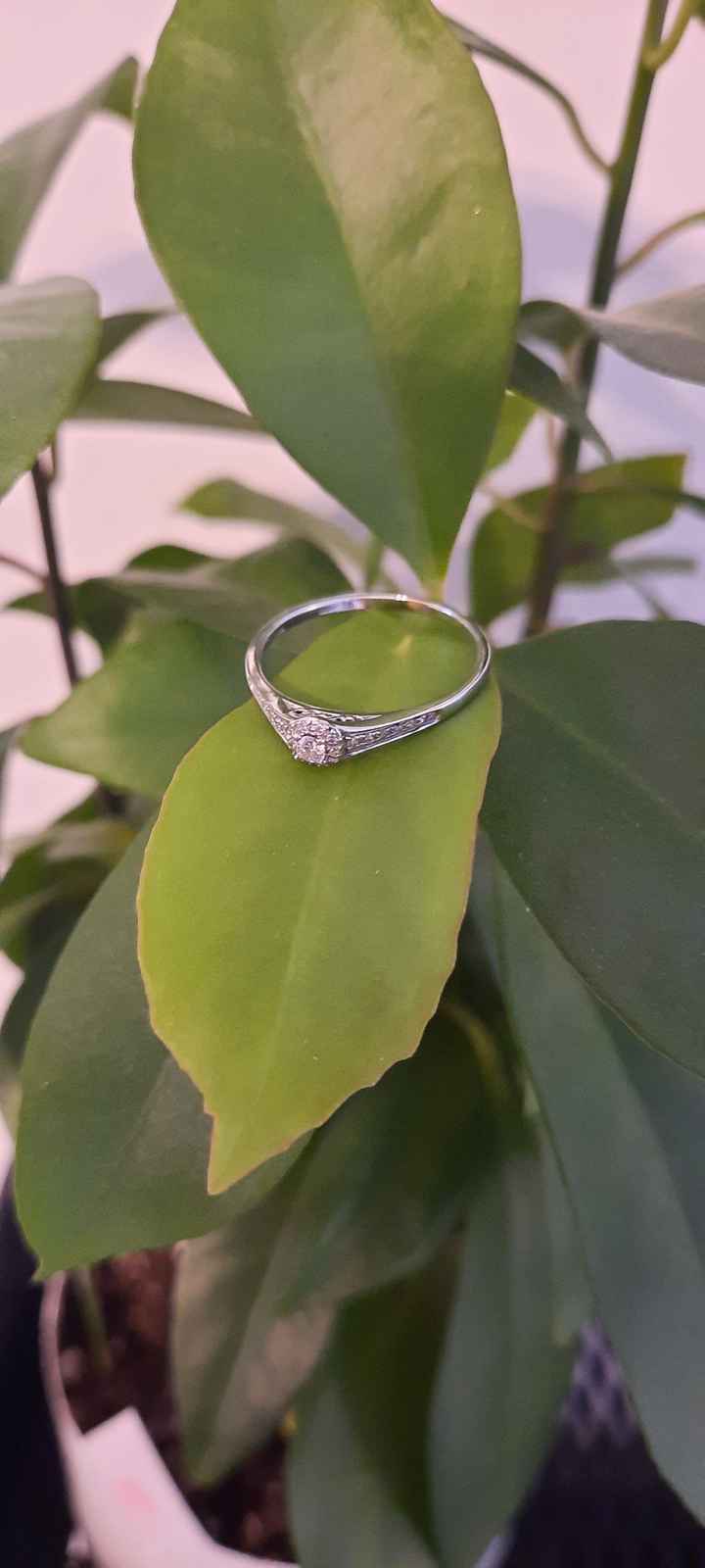 Brides of 2024 - Let's See Your Ring! - 1