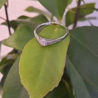 Brides of 2024 - Let's See Your Ring! - 1