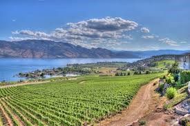 Beautiful British Columbia - Share your view! 6