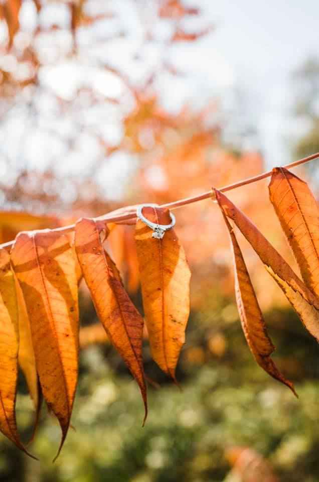 Brides of 2025 - Let's See Your Ring! - 1